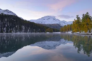 Lake Champfer with an autumnal coloured Larch -Larix- forest with Piz da la Margna at Lake Champfer with an autumnal coloured Larch -Larix- forest with Piz da la Margna at