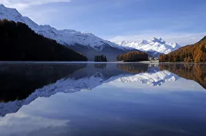 Lake Champfer with larch forest with autumnal colouring, Mt Piz da la Margna at back, St Lake Champfer with larch forest with autumnal colouring, Mt Piz da la Margna at back, St