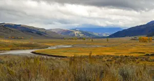 Western USA Photography Prints: Lamar Valley in fall