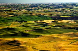 Landscape with fields, Palouse, Washington State, USA Landscape with fields, Palouse, Washington State, USA