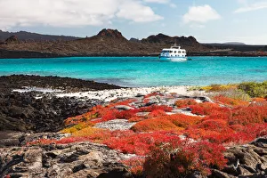 Landscape of Isla Santa Fe with red vegetation, turquoise ocean Landscape of Isla Santa Fe with red vegetation, turquoise ocean