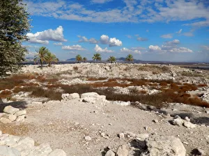 Landscape on Megiddo Mound & the valley of Jezreel Landscape on Megiddo Mound & the valley of Jezreel