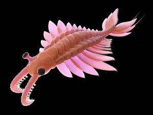 Legends And Icon Prints: Fine Art Storehouse Print of Anomalocaris