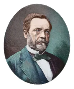 Legends And Icon Prints: Louis Pasteur 1882 Engraving Print