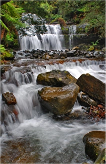 Liffey Falls, a beautiful and scenic area in northern Tasmania Liffey Falls, a beautiful and scenic area in northern Tasmania