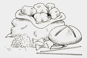 Line drawing of foods that provide carbohydrates, including potatoes, bread, and pasta Line drawing of foods that provide carbohydrates, including potatoes, bread, and pasta