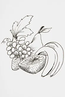 Line drawing of fruit including bananas, pear and grapes Line drawing of fruit including bananas, pear and grapes