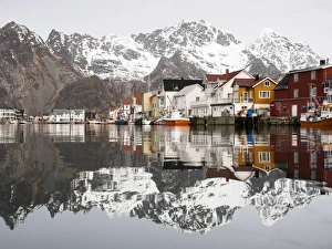 The Lofoten mountains being reflected in the water of the harbour of Henningsvaer The Lofoten mountains being reflected in the water of the harbour of Henningsvaer