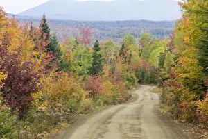 Logging road near East Kennebago Mountain, Reddington Township, Maine, USA Logging road near East Kennebago Mountain, Reddington Township, Maine, USA
