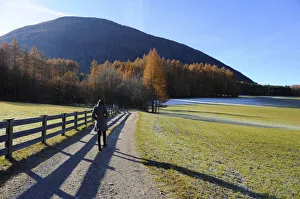 Lonely walk of a woman in an autumnal landscape, Mieminger Plateau, Tyrol, Austria, Europe Lonely walk of a woman in an autumnal landscape, Mieminger Plateau, Tyrol, Austria, Europe