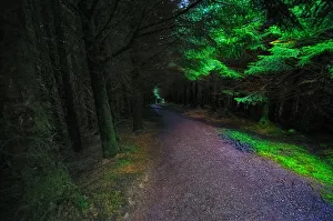Lonesome Road Leading Through Dark and Eerie Forest on the Isle of Skye, Scotland Lonesome Road Leading Through Dark and Eerie Forest on the Isle of Skye, Scotland