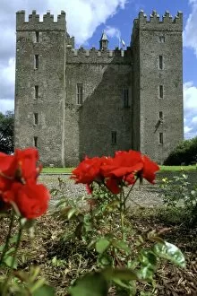 Images Dated 15th June 2006: Low angle view of a castle, Bunratty Castle, Clare, Republic of Ireland