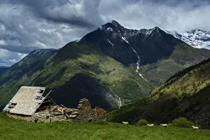 Lyses valley, national park of Pyrenees, Hautes Pyrenees, France Lyses valley, national park of Pyrenees, Hautes Pyrenees, France