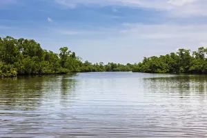 Madampe Lake, nature reserve near Godahena, Galle Region, Southern Province, Sri Lanka Madampe Lake, nature reserve near Godahena, Galle Region, Southern Province, Sri Lanka