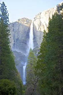 Majestic waterfall with tall trees, cliff and blue sky Majestic waterfall with tall trees, cliff and blue sky