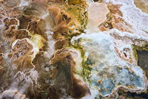 Mammoth Hot Springs, Yellowstone National Park, Color Image, Day, Geology, Hot Spring Mammoth Hot Springs, Yellowstone National Park, Color Image, Day, Geology, Hot Spring