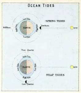 Prints of Vintage engraving showing the Ocean Tides, 1891 Unveiling the Universe: A Stunning Collection of Astronomy Images: Ocean Tides Vintage Engraving Print, 1891 (Celestial Maps)