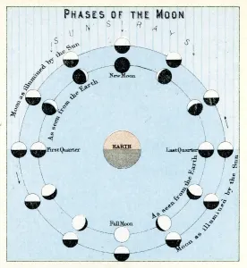 Prints of Vintage engraving showing the Phases of the Moon, 1891 Unveiling the Universe: A Stunning Collection of Astronomy Images: Phases of the Moon Vintage Engraving Print, 1891
