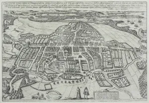 Fine Art Storehouse Print of Odense, Denmark Map