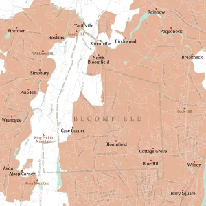 Digital Cartography Design Prints: CT Hartford Bloomfield Vector Road Map