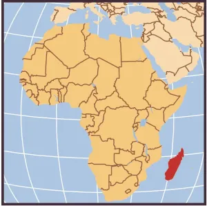 Democratic Republic of the Congo Locator Map Print 2012 Edition