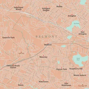 Massachusetts County Map Prints: MA Middlesex Belmont Vector Road Map