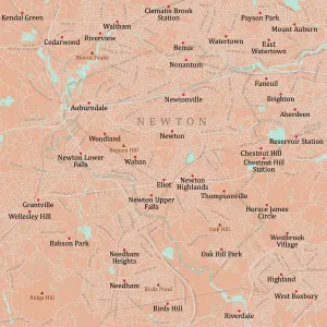 Newton MA Middlesex County Vector Road Map Print
