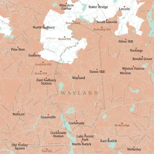 Vector City Maps USA Prints: MA Middlesex Wayland Vector Road Map