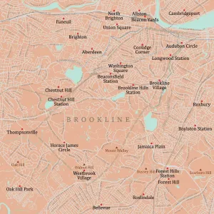 Vector City Maps USA Prints: MA Norfolk Brookline Vector Road Map