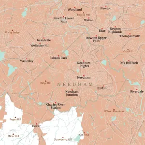 Public Domain Maps USA Prints: MA Norfolk Needham Vector Road Map