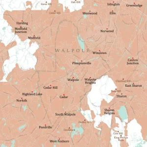 Vector City Maps USA Prints: MA Norfolk Walpole Vector Road Map