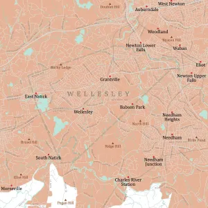 Massachusetts Vector Map Prints: MA Norfolk Wellesley Vector Road Map