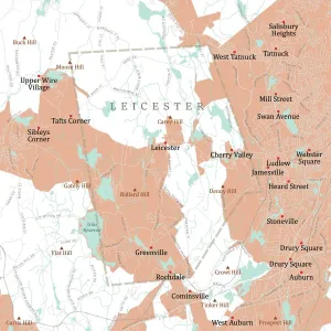 Vector City Maps USA Prints: MA Worcester Leicester Vector Road Map