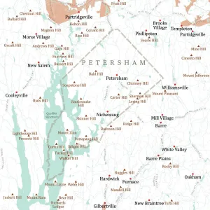 Worcester Petersham Vector Road Map Print