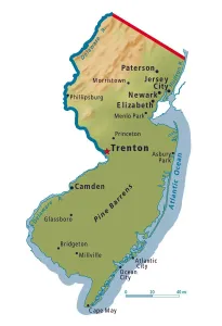 Artistic Maps Online Prints: Reference Maps, 103745724