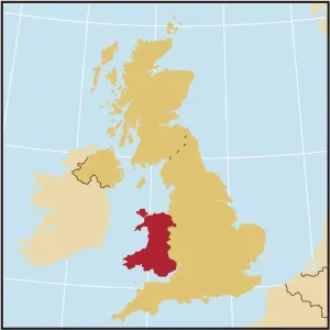 Vintage Maps Online Prints: Reference Maps, 107960567
