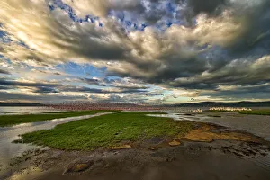Masses of Flamingoes Take to flight in this Wide Angle Landscape Photo of Lake Nakuru Masses of Flamingoes Take to flight in this Wide Angle Landscape Photo of Lake Nakuru