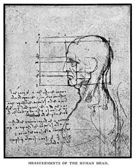 Measurements of the human head by Leonardo Da Vinci Measurements of the human head by Leonardo Da Vinci