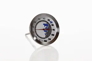 Kitchen Appliance Prints: Meat thermometer