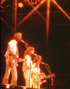 Pop Music Icons Prints: The Bee Gees