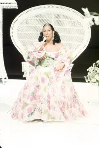Iconic Female Singers Prints: Cher Performing