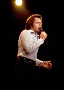 Singer Songwriter Style Prints: Diamond Stud