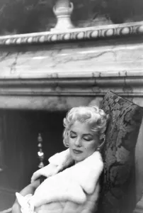 Marilyn Monroe Prints: Marilyn Resting