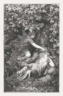 Midsummer Nights Dream by William Shakespeare, wood engraving, published 1874 Midsummer Nights Dream by William Shakespeare, wood engraving, published 1874
