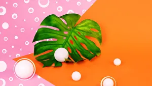 Monstera leaf on orange and pink background Monstera leaf on orange and pink background