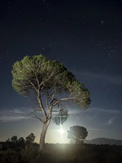 Full moon shining out among the pines in the mountains Full moon shining out among the pines in the mountains