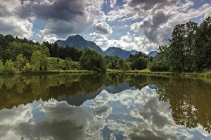 Moor, marsh pond, water reflection, behind Allgaeuer Alps, Oberstdorf, Oberallgaeu Moor, marsh pond, water reflection, behind Allgaeuer Alps, Oberstdorf, Oberallgaeu