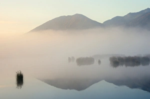 Moorland with morning fog, alpine foothills, Grundbeckenmoor marsh, Nicklheim, Bavaria Moorland with morning fog, alpine foothills, Grundbeckenmoor marsh, Nicklheim, Bavaria