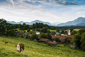Morning atmosphere, Aidling, Upper Bavaria, Bavaria, Germany Morning atmosphere, Aidling, Upper Bavaria, Bavaria, Germany