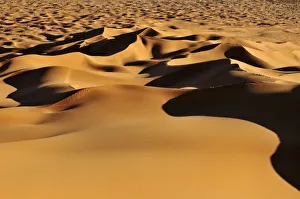 Morning light on the sanddunes at Erg Tihoulahoun, Erg Tihoulahoun, Immidir or Mouydir Morning light on the sanddunes at Erg Tihoulahoun, Erg Tihoulahoun, Immidir or Mouydir